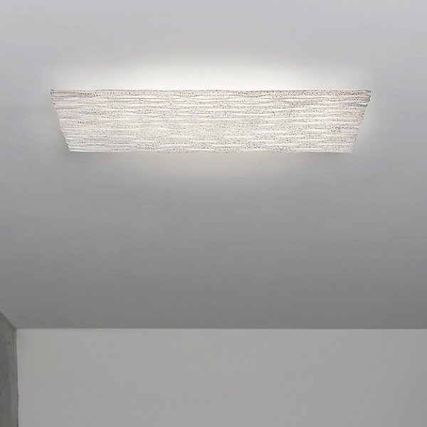 Planum Wall / Ceiling Light
