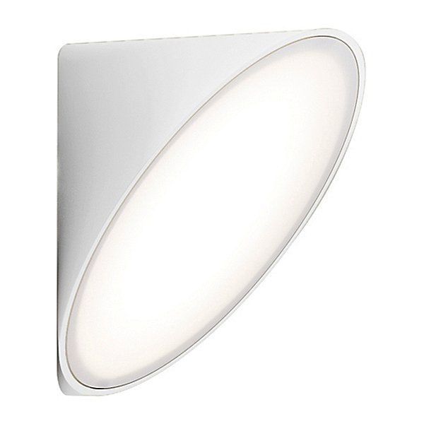 Orchid LED Wall Light