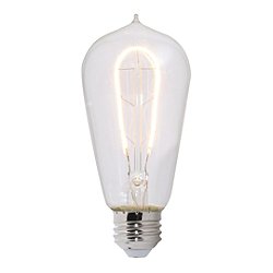 2W 120V ST18 E26 LED Clear Bulb