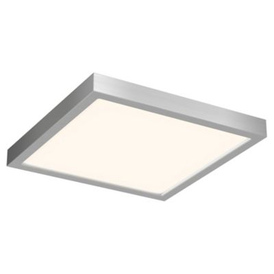 Flush Mount Ceiling Light