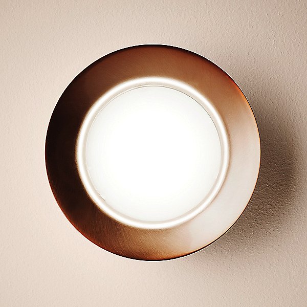 T-3410L Maine Small LED Ceiling Wall Light