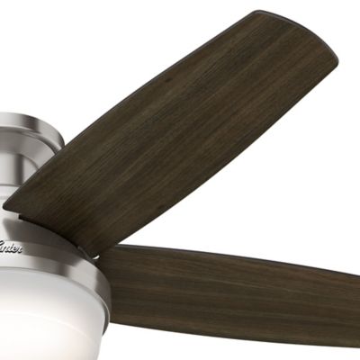 Hunter Fans Avia Ceiling Fan