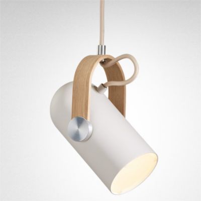 Carronade Spot Pendant Light