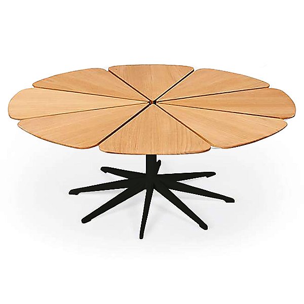 Petal Collection Coffee Table