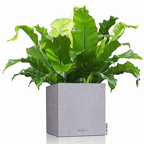 Canto Stone Cube Self-Watering Indoor/Outdoor Planter