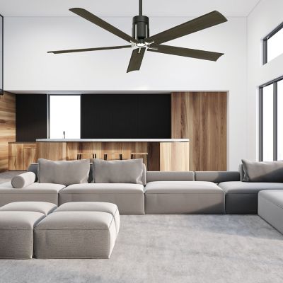 Clean Ceiling Fan