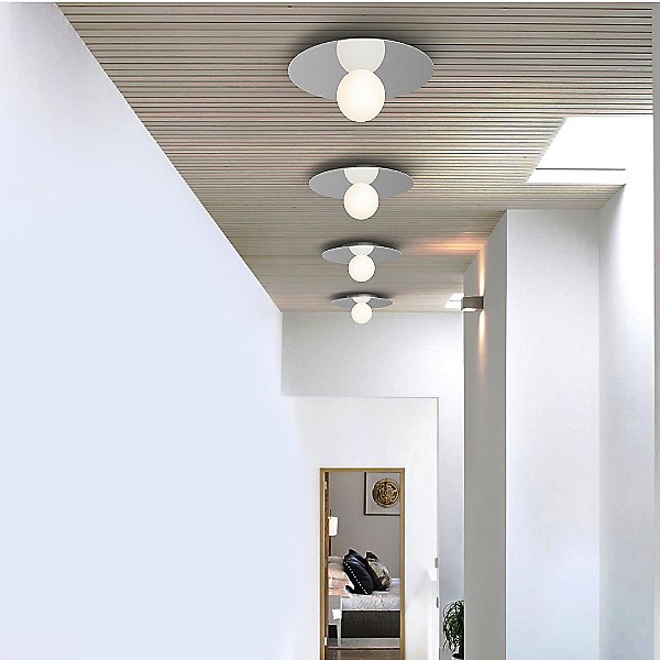 Bola Disc LED Multi-Light Flush Mount Wall / Ceiling Light