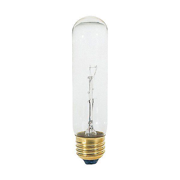 25W 120V T10 E26 Clear Bulb 4-Pack