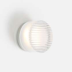 Crisp Wall Ceiling Light