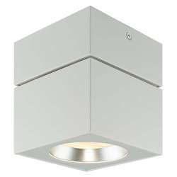 Surface Mount Square Ceiling Light