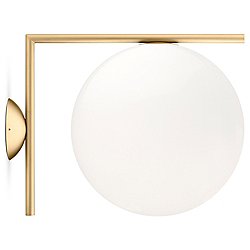 IC Wall/Ceiling Light