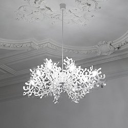 Coral Chandelier