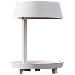 Carry Mini Table Lamp