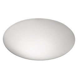 Puck Light Wall or Ceiling Light