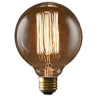 40W 120V G30 E26 Thread Edison Bulb