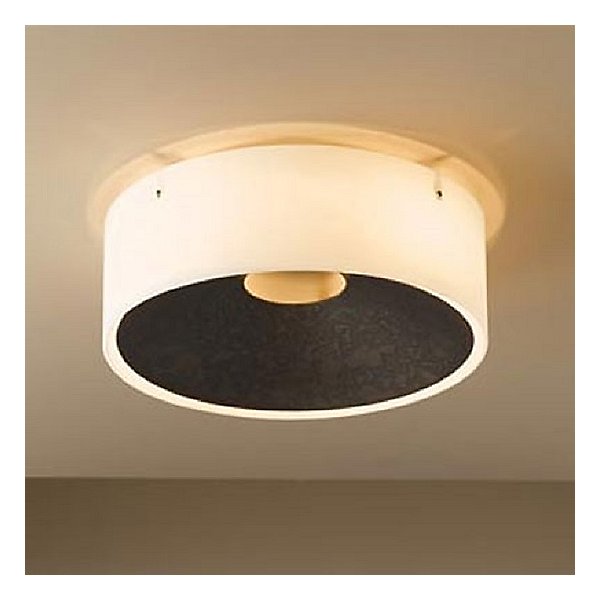 Oculus Wall / Ceiling Light